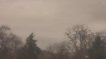 Weather camera view of Saint Peter School.