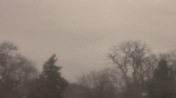 Weather camera view of Saint Peter School.