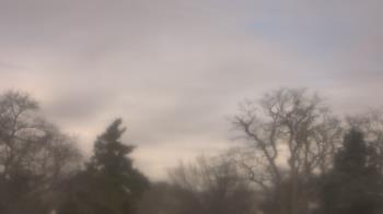 Weather camera view of Saint Peter School.