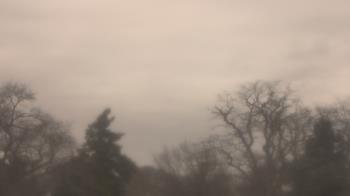 Weather camera view of Saint Peter School.
