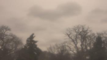 Weather camera view of Saint Peter School.