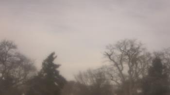 Weather camera view of Saint Peter School.