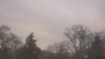 Weather camera view of Saint Peter School.