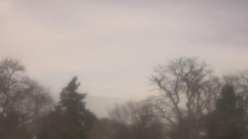 Weather camera view of Saint Peter School.