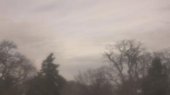 Weather camera view of Saint Peter School.