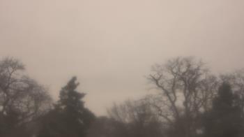 Weather camera view of Saint Peter School.