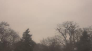 Weather camera view of Saint Peter School.