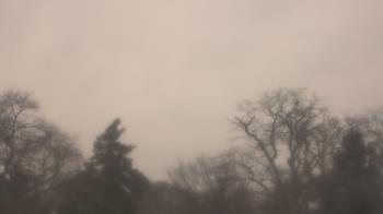 Weather camera view of Saint Peter School.