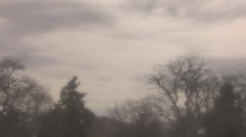 Weather camera view of Saint Peter School.