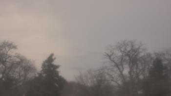 Weather camera view of Saint Peter School.