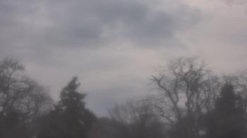 Weather camera view of Saint Peter School.