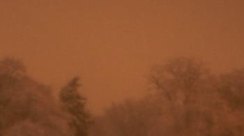 Weather camera view of Saint Peter School.