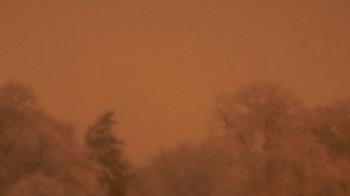 Weather camera view of Saint Peter School.