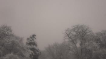 Weather camera view of Saint Peter School.