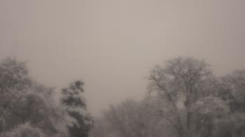 Weather camera view of Saint Peter School.