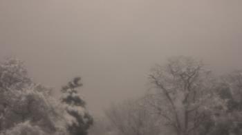 Weather camera view of Saint Peter School.