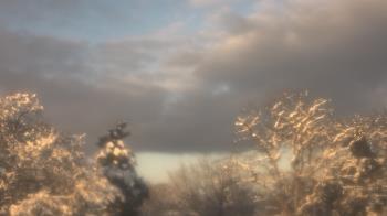 Weather camera view of Saint Peter School.