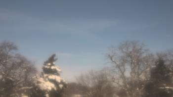 Weather camera view of Saint Peter School.