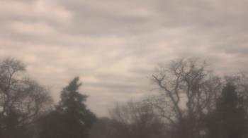 Weather camera view of Saint Peter School.