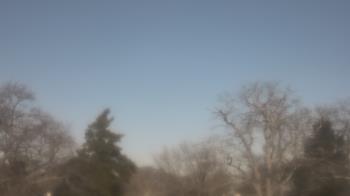 Weather camera view of Saint Peter School.