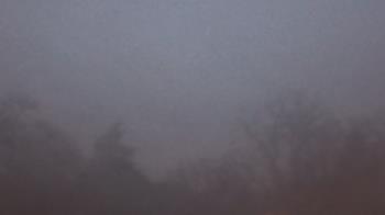 Weather camera view of Saint Peter School.