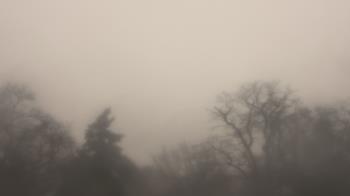 Weather camera view of Saint Peter School.