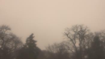 Weather camera view of Saint Peter School.