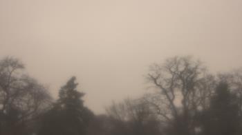 Weather camera view of Saint Peter School.