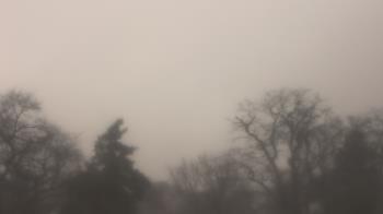 Weather camera view of Saint Peter School.