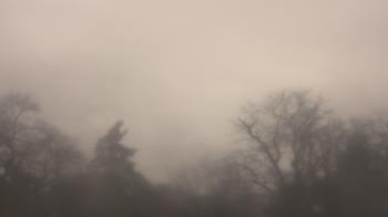 Weather camera view of Saint Peter School.