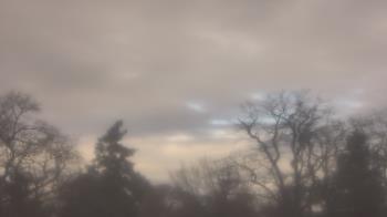 Weather camera view of Saint Peter School.