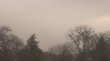 Weather camera view of Saint Peter School.