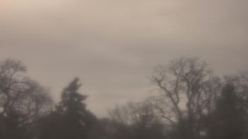 Weather camera view of Saint Peter School.