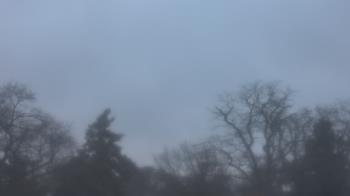 Weather camera view of Saint Peter School.