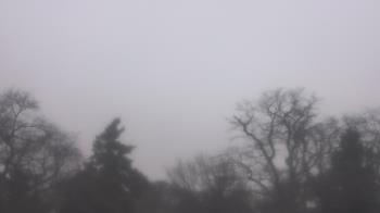 Weather camera view of Saint Peter School.