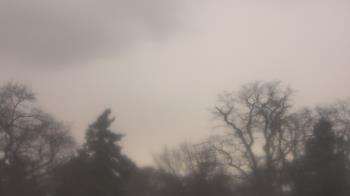 Weather camera view of Saint Peter School.