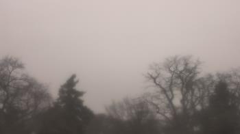 Weather camera view of Saint Peter School.