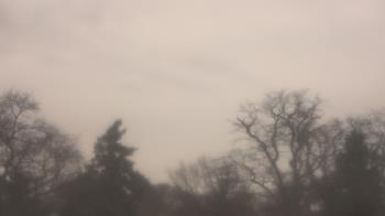 Weather camera view of Saint Peter School.