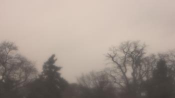 Weather camera view of Saint Peter School.