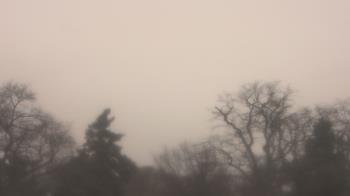 Weather camera view of Saint Peter School.