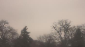 Weather camera view of Saint Peter School.