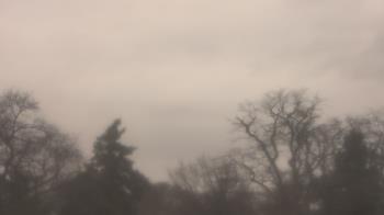 Weather camera view of Saint Peter School.