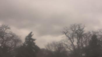 Weather camera view of Saint Peter School.