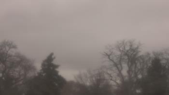 Weather camera view of Saint Peter School.