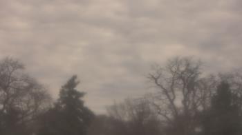 Weather camera view of Saint Peter School.