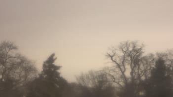 Weather camera view of Saint Peter School.