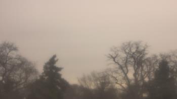 Weather camera view of Saint Peter School.