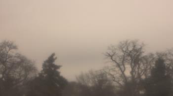 Weather camera view of Saint Peter School.