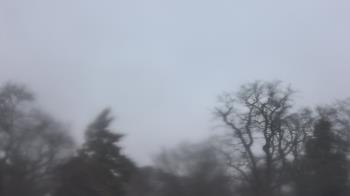 Weather camera view of Saint Peter School.