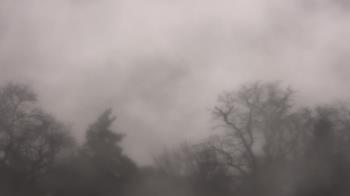 Weather camera view of Saint Peter School.